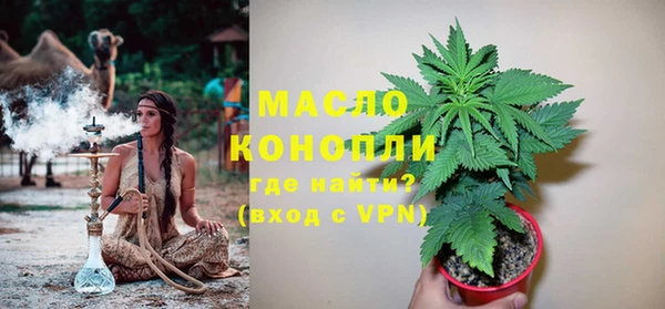 стаф Елизово
