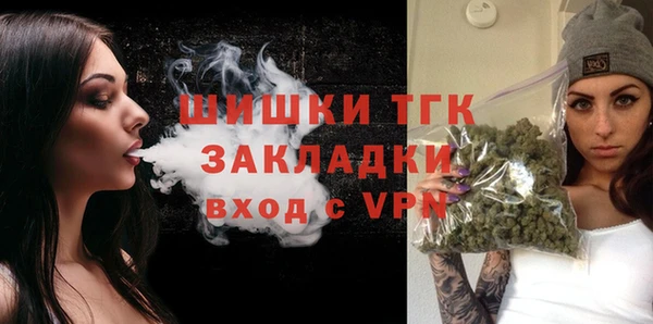стаф Елизово