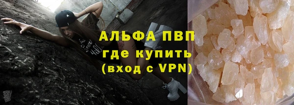 стаф Елизово