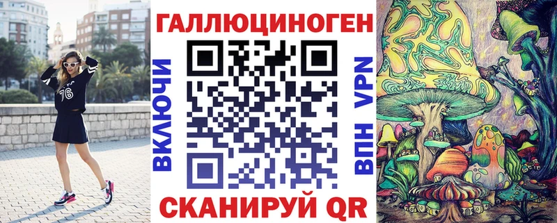 Галлюциногенные грибы Psilocybine cubensis  Элиста 